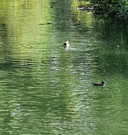 Bei Lehmanns Διαμέρισμα Βερλ