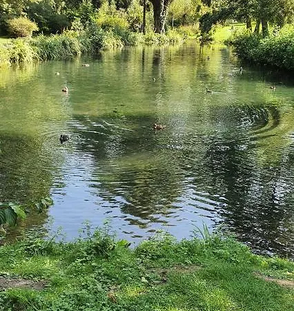 Bei Lehmanns アパート