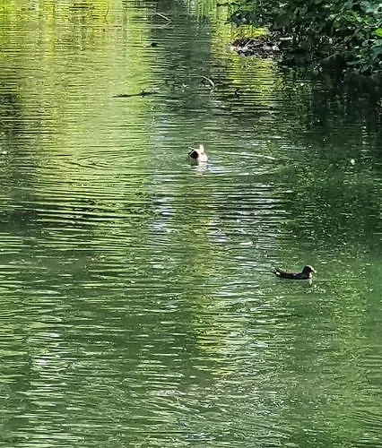 Bei Lehmanns דירה ורל