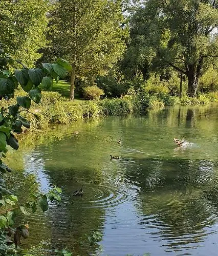 Daire Bei Lehmanns *